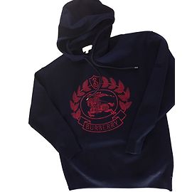 Burberry Hooded sweater Blue