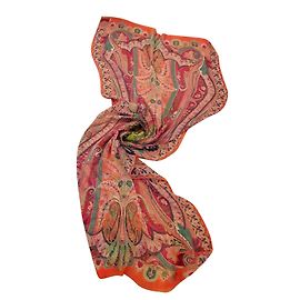 Etro Echarpes Multicolore