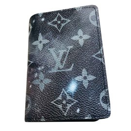 Louis Vuitton-Wallets Small accessories-Multiple colors