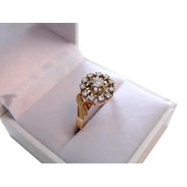 Autre Marque-geflügelter Ring aus 18 Karat Gelb- und Weißgold und Diamanten-Pink