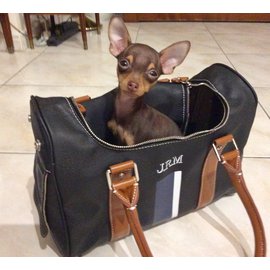 Jack Russell Malletier-Saco de transporte para cães-Preto