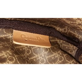 Christian Dior-Handbags-Golden