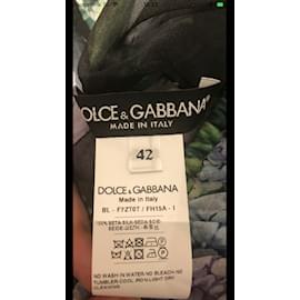 Dolce & Gabbana-DOLCE GABBANA-Multicolore