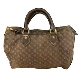 Louis Vuitton Speedy 30 Mini Linen Brown Handbag Brown