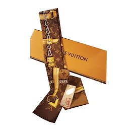 Louis Vuitton Cerchietto per capelli Multicolore