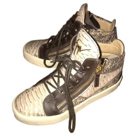 Giuseppe Zanotti-Giuseppe zanotti kriss python en relieve-Beige,Marrón oscuro