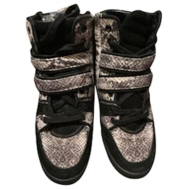 The Kooples tênis Impressão em python