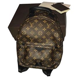 Louis Vuitton Palm Spring Small Model Brown