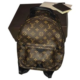 Louis Vuitton-Palm Spring Small Model-Brown