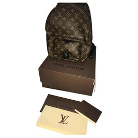 Louis Vuitton-Palm Spring Small Model-Brown