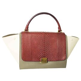 Bolso de mano Céline Trapeze de piel de pitón multicolor Multicolor