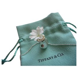 Tiffany & Co-Flasche von Peretti für Tiffany & Co geöffnet.-Silber