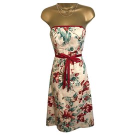 Coast Kleider Rot Grün Creme