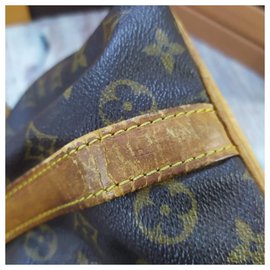 Louis Vuitton-Noe PM-Brown