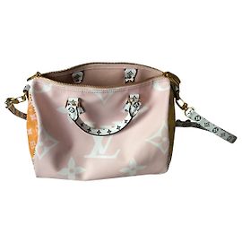 Louis Vuitton Speedy 30 summer Multicolore