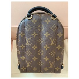 Louis Vuitton-Palm Springs Mini Backpack-Marron