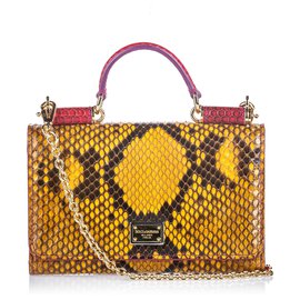 Dolce & Gabbana Dolce&Gabbana Brown Python Sicily Wallet on Chain Brown Red
