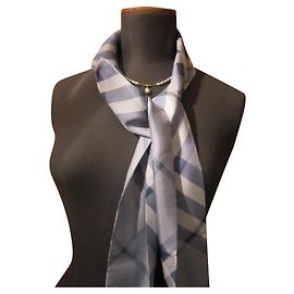 Burberry Men Scarves Blue