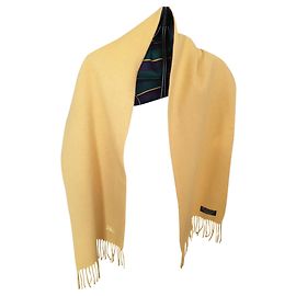 Burberrys Giallo