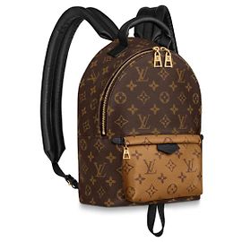 Louis Vuitton Palm Springs LV backpack new Brown