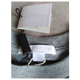 Burberry-Rainbow-Grey