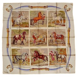 Hermès razze di cavalli Multicolore