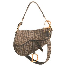Anuncio de Dior Saddle Azul