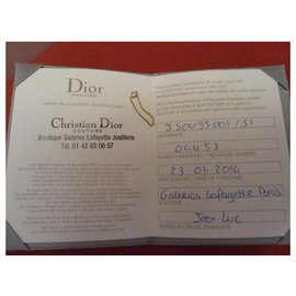 Dior-mini yes-Other