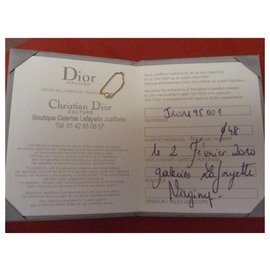 Dior-mini yes-Other