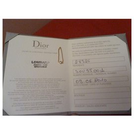 Dior-mini yes-Other