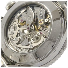 Breitling-BREITLING PATROUILLE DE FRANCE Eine Uhr11021 0056-Silber