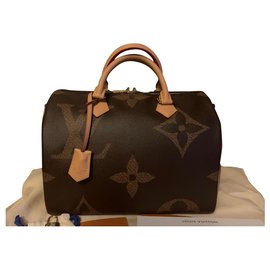 Louis Vuitton-Louis Vuitton Speedy 30 Monogram Giant Reverse-Brown