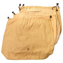 Bolsa de polvo de Louis Vuitton Castaño