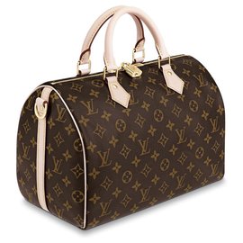 Louis Vuitton-Speedy LV-Castaño