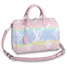 Louis Vuitton Sacs à main Multicolore