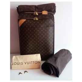Louis Vuitton-Pegase business 55-Brown