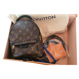 Louis Vuitton-Plam Springs Mini-Brown