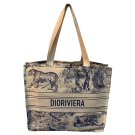 Dior-Dior Buch Tote Riviera-Blau