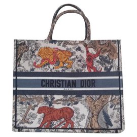 Dior Sacs à main Multicolore