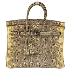 Hermès Birkin 25 lizard leather Multiple colors