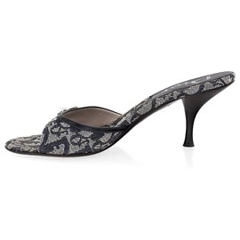 christian dior mules