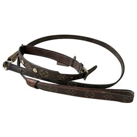 Louis Vuitton-Louis Vuitton dog collar with leash-Brown