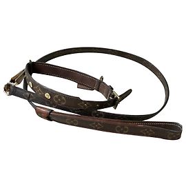 Collar de perro Louis Vuitton con correa Castaño