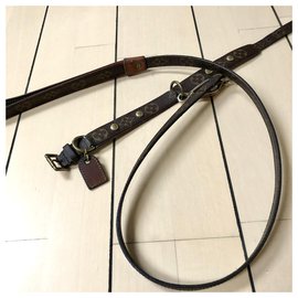 Louis Vuitton-Louis Vuitton dog collar with leash-Brown