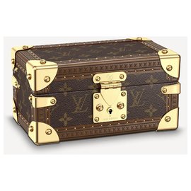 Louis Vuitton-LV trunk coffret tresor-Brown