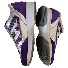 Hogan Interactive Purple