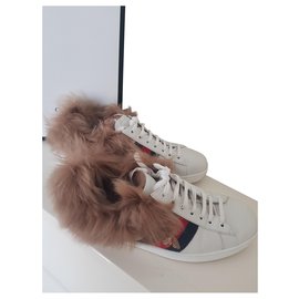 Baskets Gucci Ace blanches en cuir et fourrure Blanc