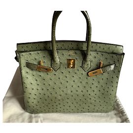 Hermès Struzzo Birkin Verde oliva