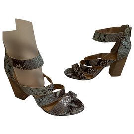 Sandales CAROLL en cuir imprimé python bleu clair Multicolore