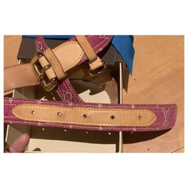 Louis Vuitton-Cinturones-Púrpura
